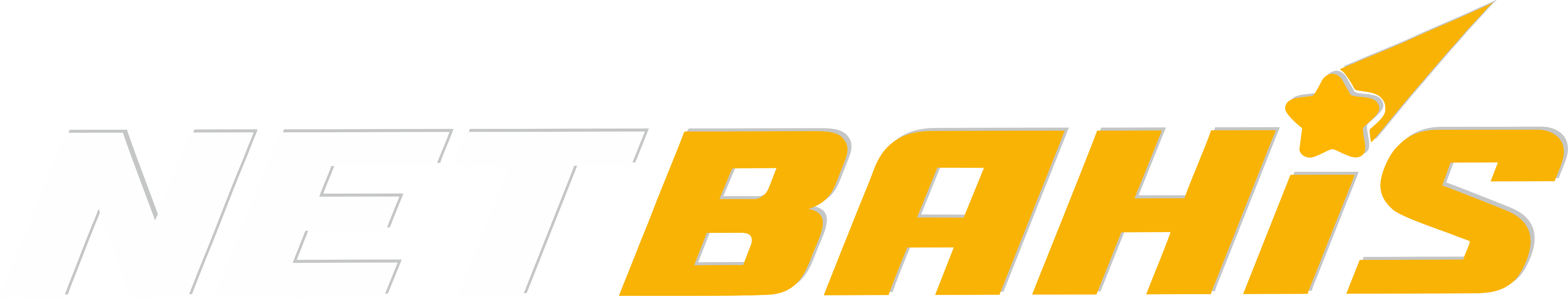 Netbahis Logo